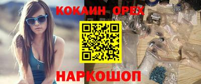 дмт Аргун