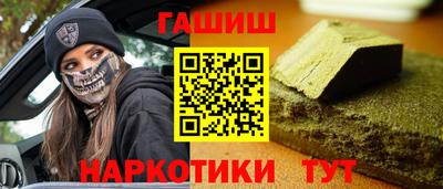 дмт Аргун