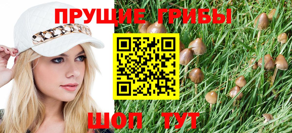 Архангельск  Псилоцибиновые грибы Psilocybe  Вход с VPN 