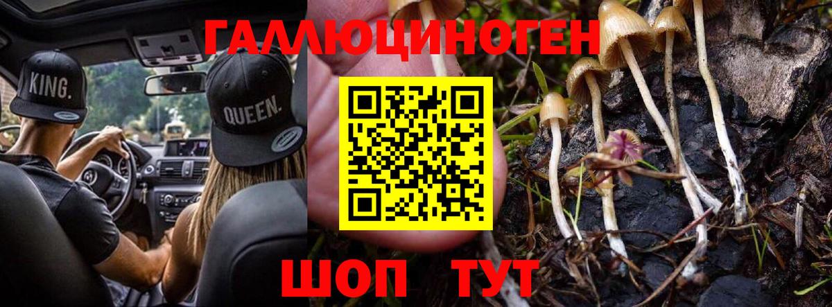 Галлюциногенные грибы Cubensis Архангельск